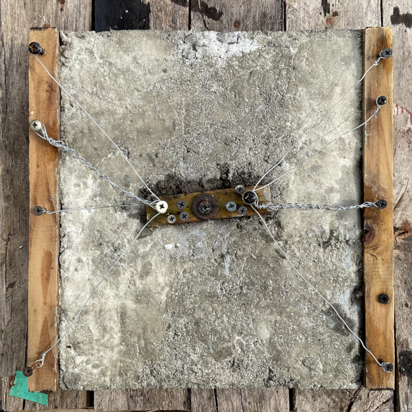 Nine Inch Neuron (The Honey Inside Your Hive), 2025, Mixed Media, Wood Cement Wire and Screws, 12 by 12 Inches